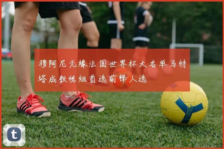穆阿尼无缘法国世界杯大名单马特塔成教练组首选前锋人选