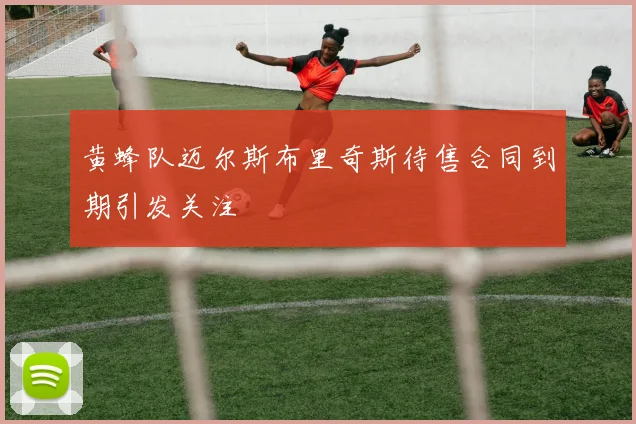 黄蜂队迈尔斯布里奇斯待售合同到期引发关注